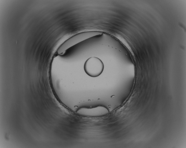 X0000092041197200710100952