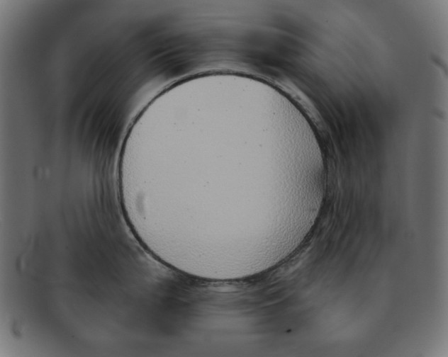 X0000092041199200710100952