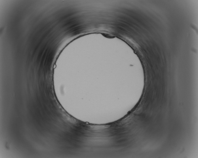 X0000092041200200710100952