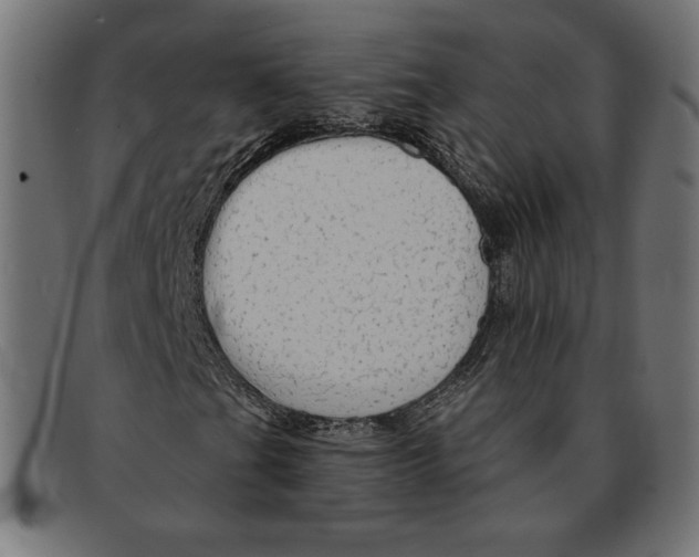 X0000092041201200710100951