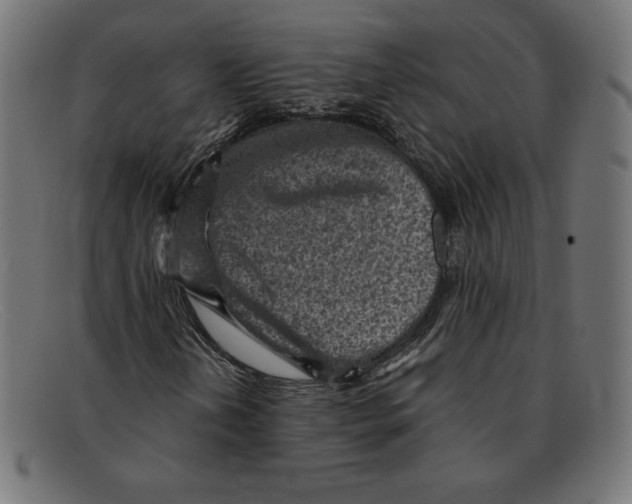 X0000092041202200710100951