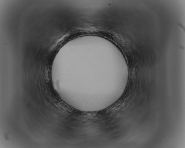 X0000092041205200710100951