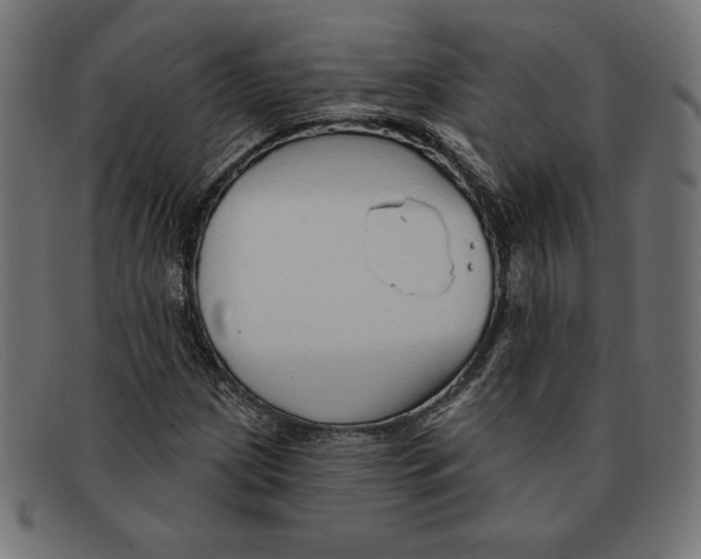 X0000092041209200710100951