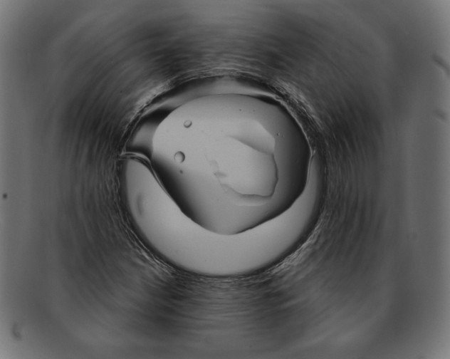 X0000092041210200710100951