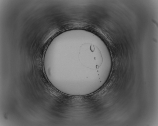 X0000092041211200710100951