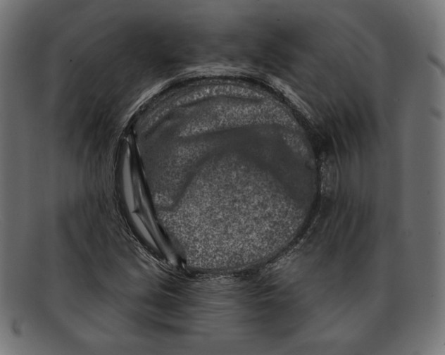 X0000092041213200710100951