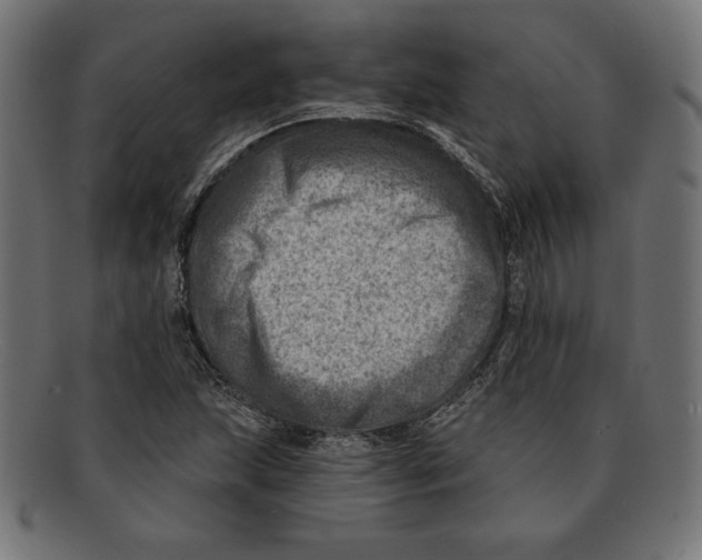 X0000092041215200710100951