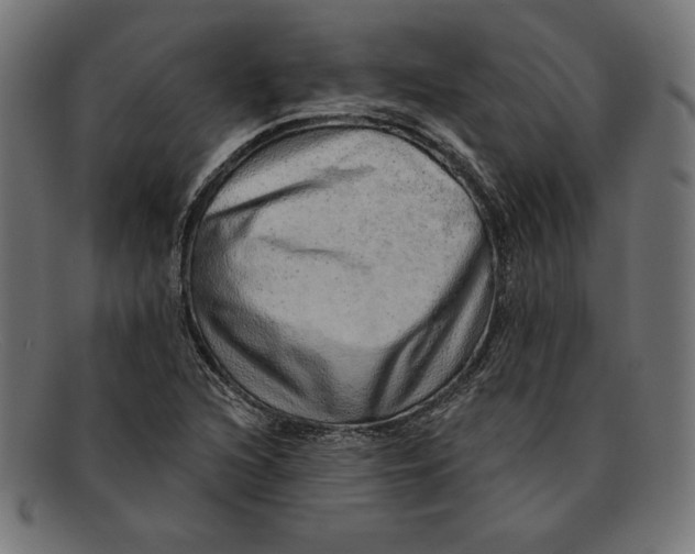 X0000092041216200710100951