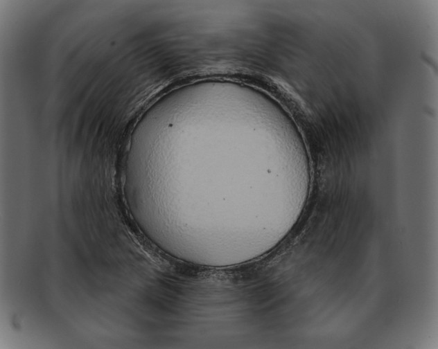 X0000092041217200710100951