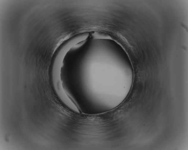 X0000092041218200710100951