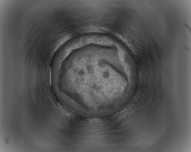 X0000092041219200710100951