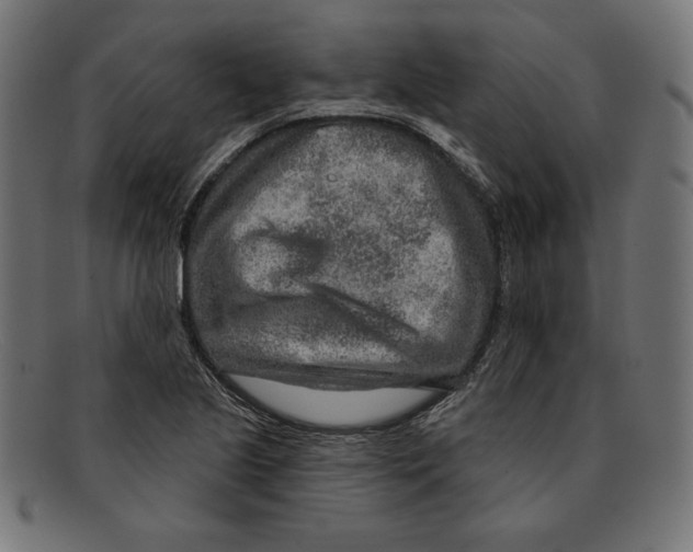 X0000092041221200710100951