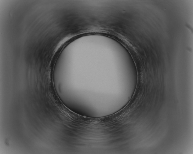 X0000092041222200710100951