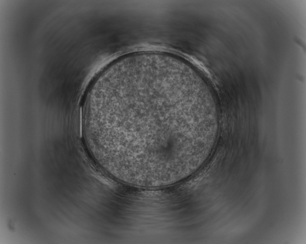 X0000092041223200710100951