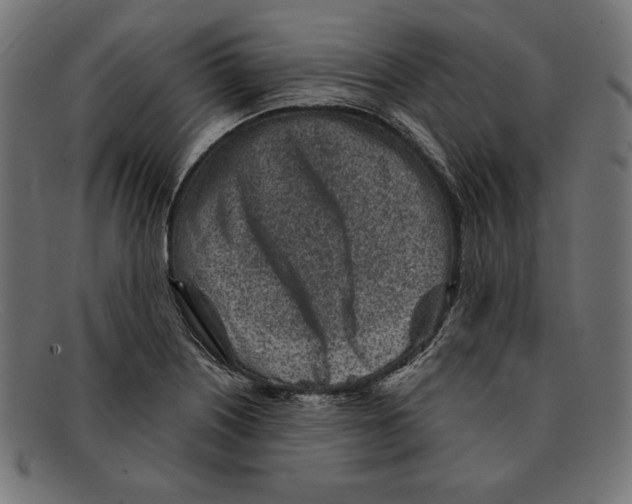 X0000092041226200710100951