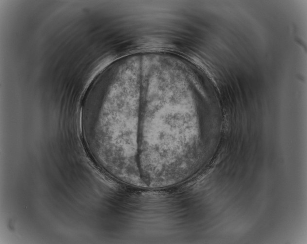 X0000092041227200710100951