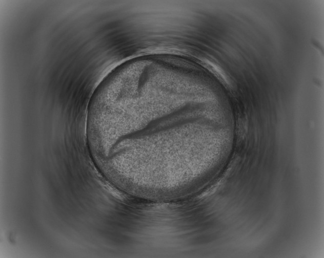 X0000092041228200710100951