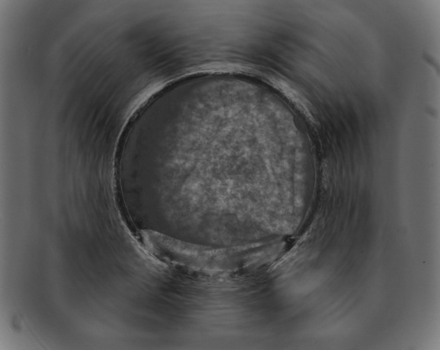 X0000092041229200710100951