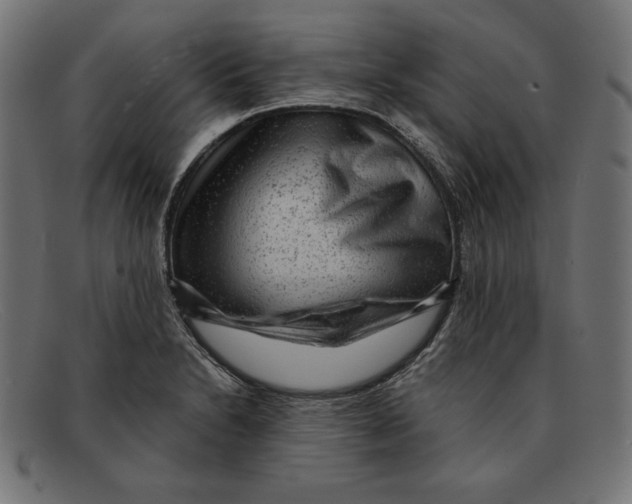 X0000092041230200710100951