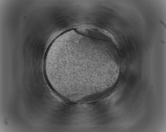 X0000092041231200710100951