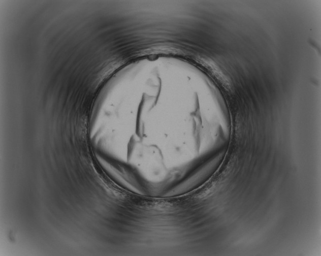 X0000092041233200710100951