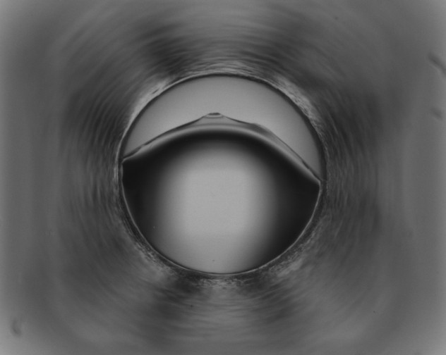 X0000092041234200710100951