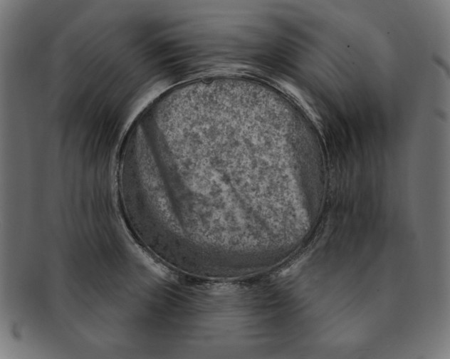 X0000092041235200710100951