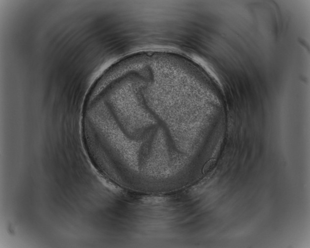 X0000092041237200710100951