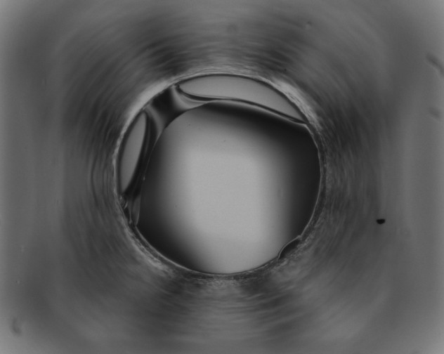 X0000092041238200710100951