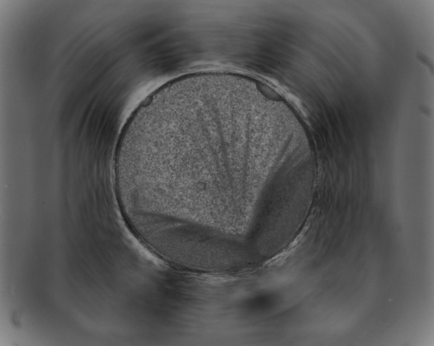 X0000092041239200710100951