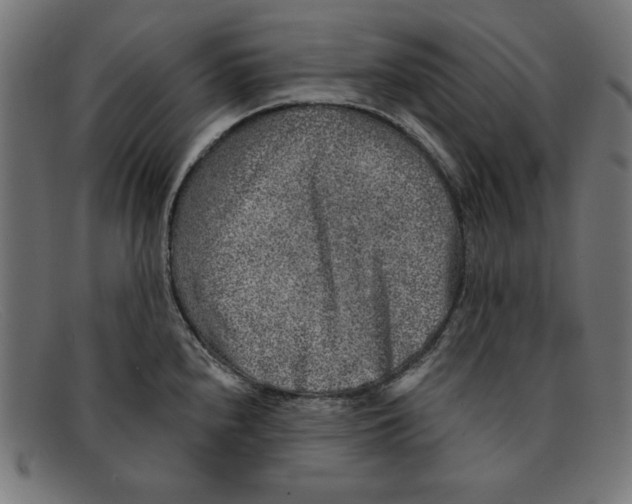 X0000092041240200710100952