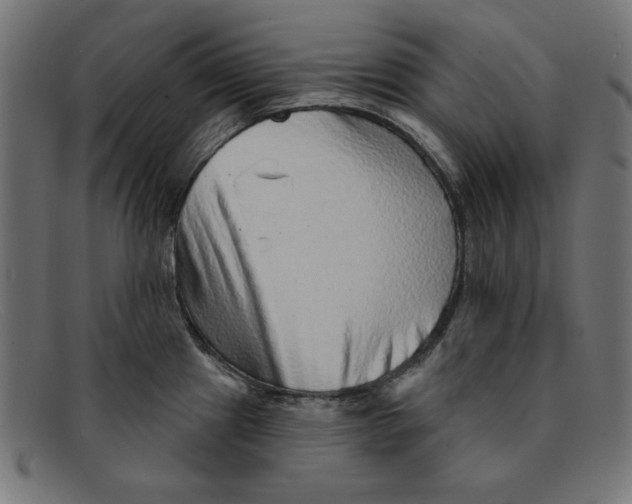 X0000092041241200710100952