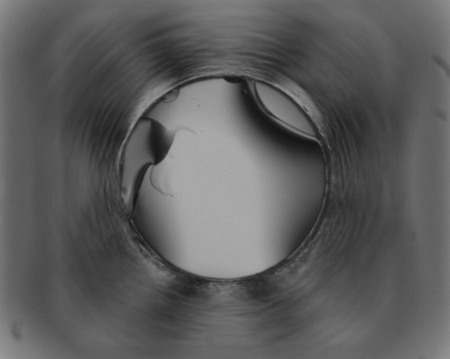 X0000092041242200710100952