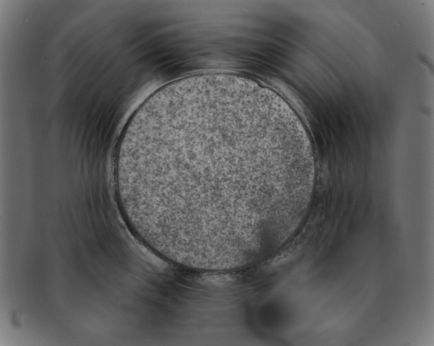 X0000092041243200710100952