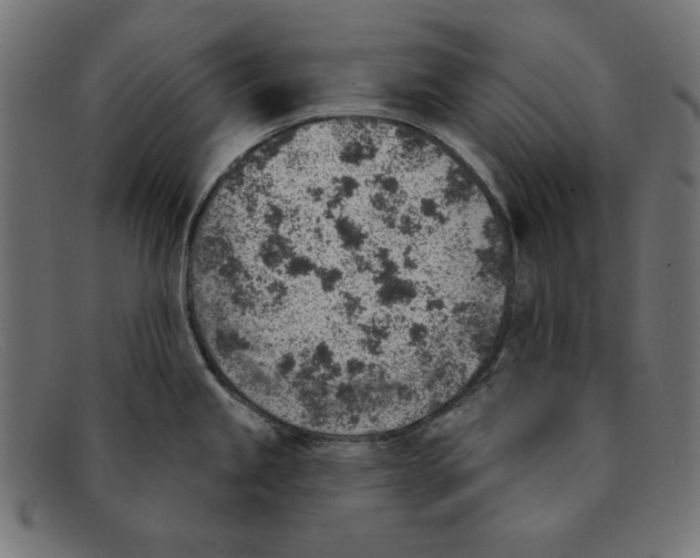 X0000092041245200710100952