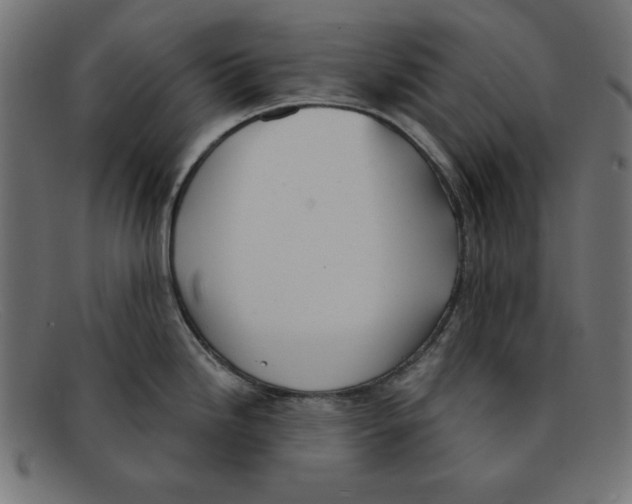 X0000092041246200710100952