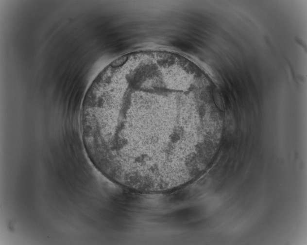 X0000092041247200710100952