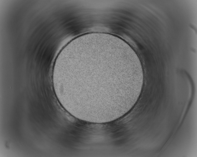 X0000092041248200710100952