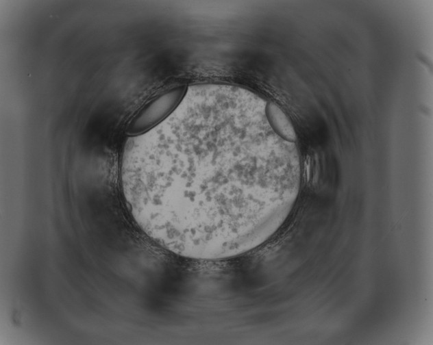 X0000092041251200710100951