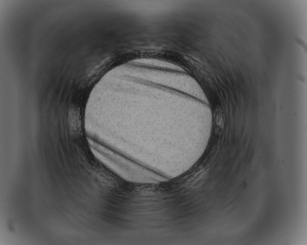 X0000092041252200710100951