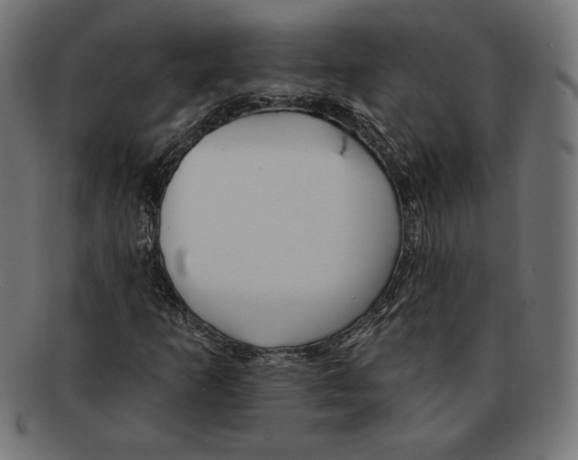 X0000092041253200710100951