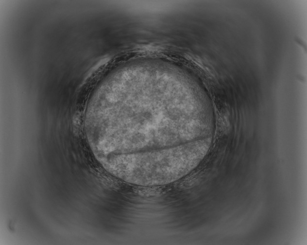 X0000092041254200710100951