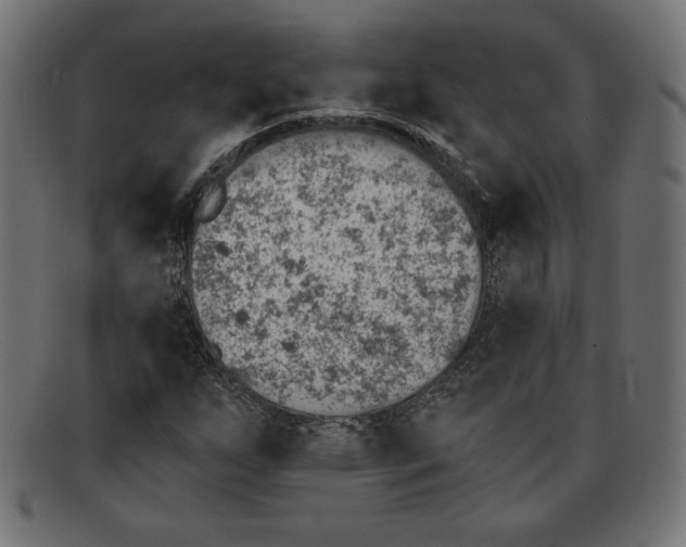 X0000092041255200710100951