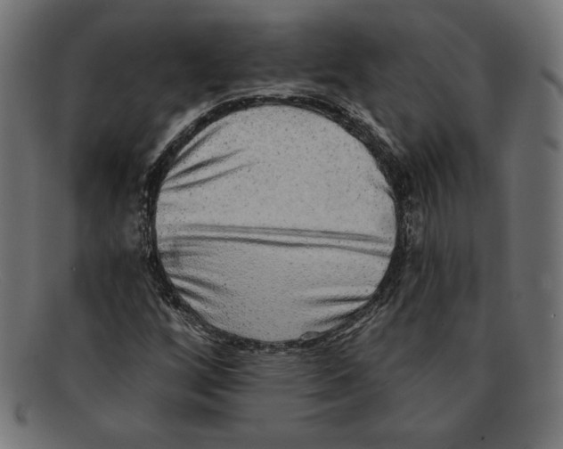 X0000092041256200710100951