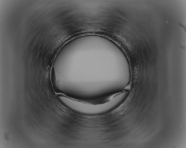 X0000092041257200710100951