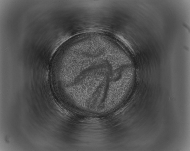 X0000092041260200710100951