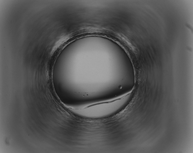 X0000092041261200710100951