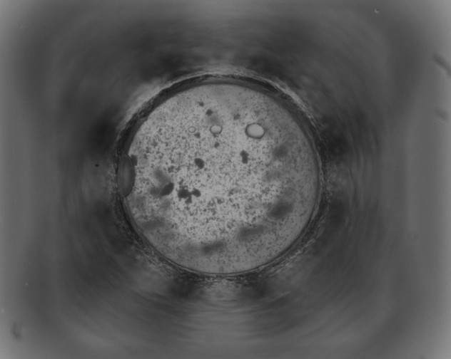 X0000092041263200710100951