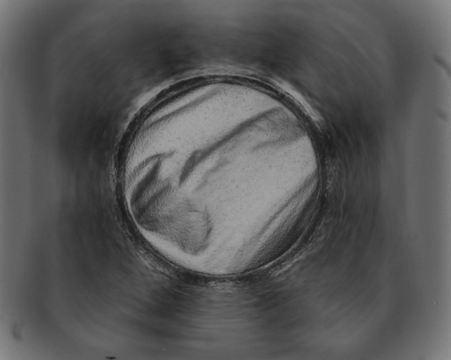 X0000092041264200710100951