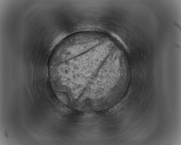 X0000092041267200710100951